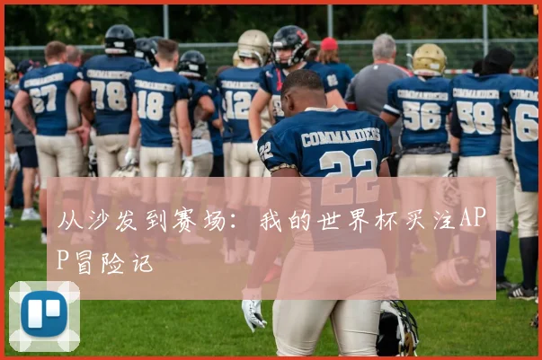 从沙发到赛场:我的世界杯买注APP冒险记