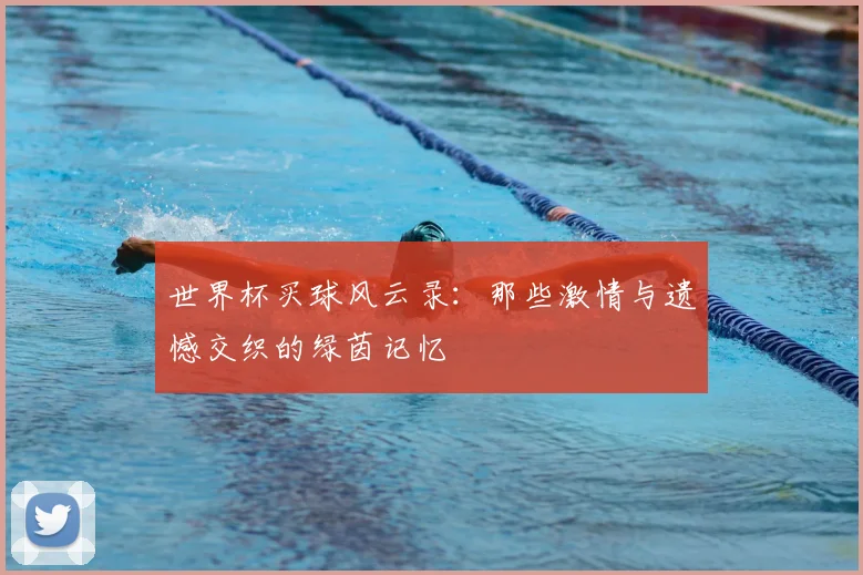 世界杯买球风云录：那些激情与遗憾交织的绿茵记忆