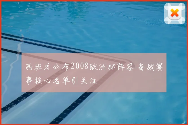 西班牙公布2008欧洲杯阵容 备战赛事核心名单引关注