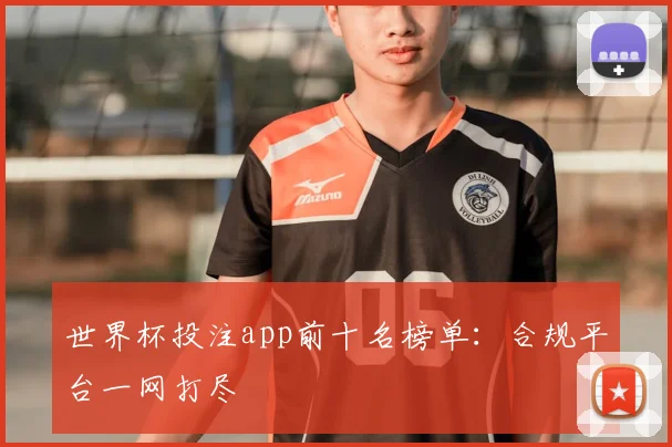 世界杯投注app前十名榜单：合规平台一网打尽
