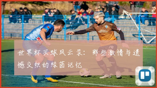 世界杯买球风云录：那些激情与遗憾交织的绿茵记忆