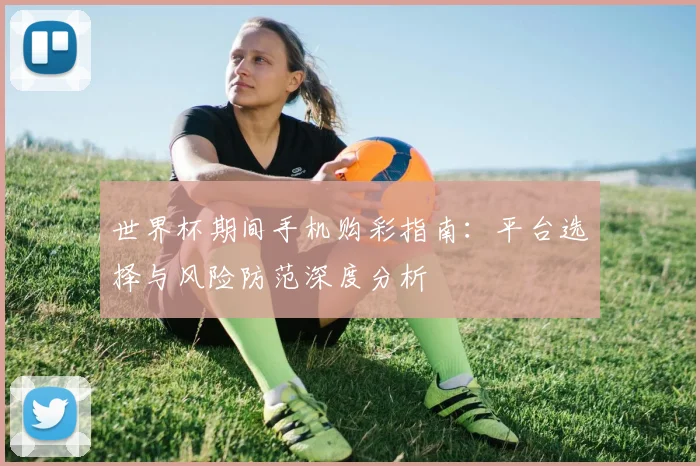 世界杯期间手机购彩指南：平台选择与风险防范深度分析