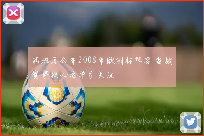 西班牙公布2008年欧洲杯阵容 备战赛事核心名单引关注