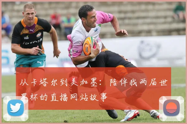 从卡塔尔到美加墨：陪伴我两届世界杯的直播网站故事