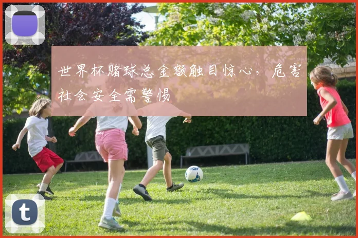 世界杯赌球总金额触目惊心,危害社会安全需警惕