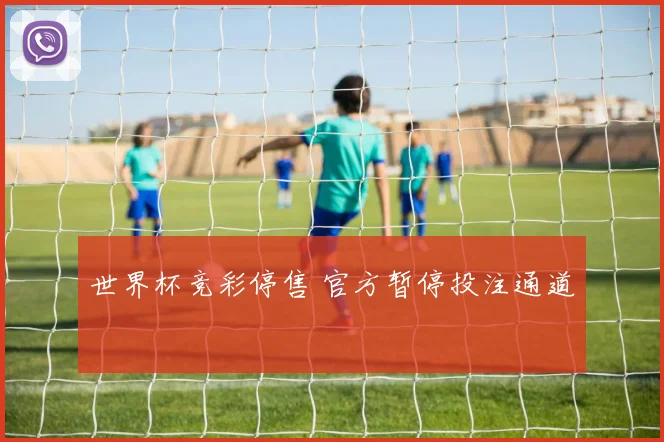 世界杯竞彩停售 官方暂停投注通道
