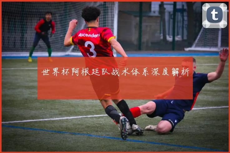 世界杯阿根廷队战术体系深度解析