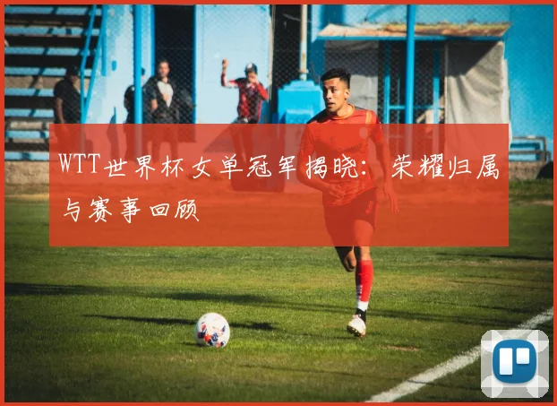 WTT世界杯女单冠军揭晓：荣耀归属与赛事回顾